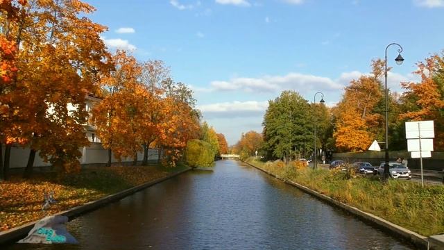 Петербург осенних листьев смотреть онлайн