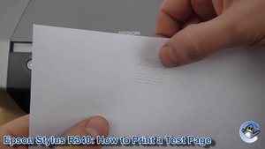 Epson Stylus Photo R340: How to Print a Nozzle Check Test Page