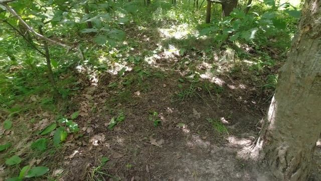 За БЕЛЫМИ грибами. ГРИБНЫЕ МЕСТА. смотреть онлайн