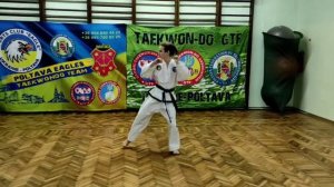 Хьонг Тхан Гун, Poltava Eagles Taekwondo Team