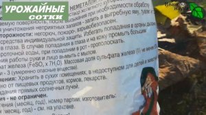 РАСТИМ ГОРТЕНЗИИ и ГОЛУБИКУ БЕЗ ТОРФА! Пошаговая инструкция посадки голубики.