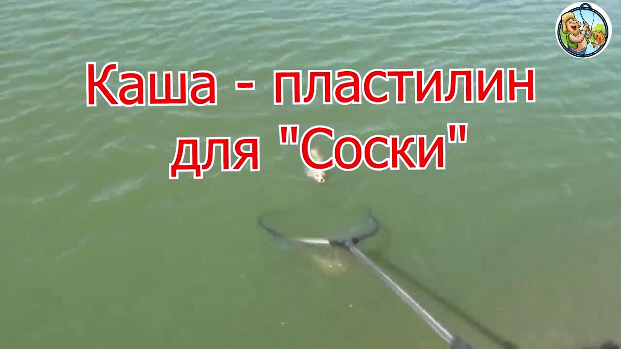 Каша - пластилин для ловли на соску