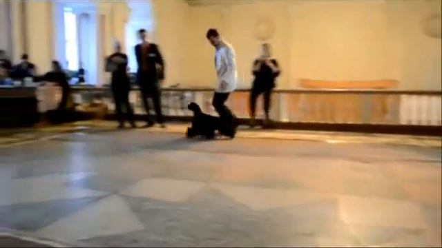 выставка Каменск Уральский смотреть онлайн