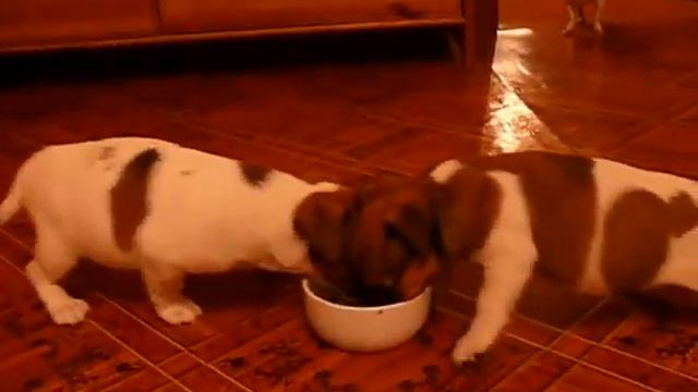 мальчики д.р. 23 июля смотреть онлайн