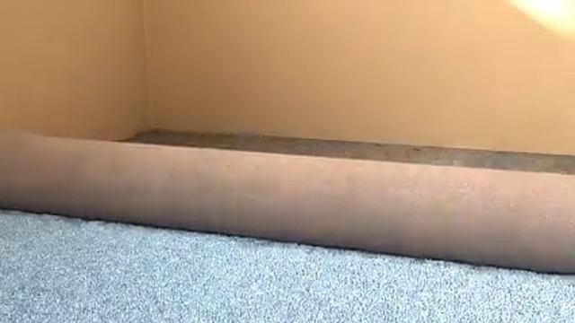 Covrolin Blue V смотреть онлайн