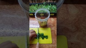 Микрозелень,микрогрин,готовим смузи из пропощенной зелени подсолнуха