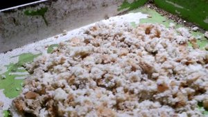 Каннибализм у кур. И как с этим бороться?