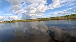 ПОПАЛИ НА ЖОР ЗМЕЕГОЛОВА. рыбалка на спиннинг на змееголова .