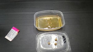 Осенняя Насадка ловит сама карася карпа и леща,самоделки для рыбалки,рыблка в сентябре