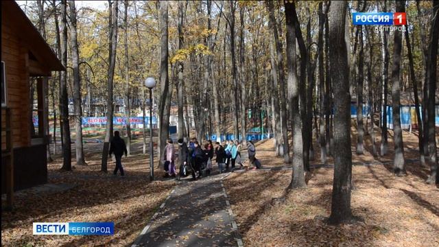 На базе лагеря "Юность" провели семидневную смену смотреть онлайн