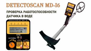 Проверка работоспособности датчика металлоискателя DetectoScan MD-i6  в воде