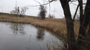 Поиск НЕМЕЦКОГО ТАНКА! В поисках сокровищ / In search of treasures