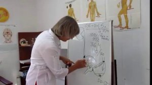 Почки. Как их укрепить