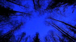 Ислам Идигов - Прощай