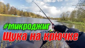 #31 Щука на #микроджиг | Пушкин | Daiwa Ninja Z