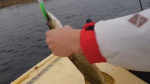 Ловля щуки на воблер. Спиннинг Allvega Altezza twitch 4-17гр.