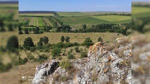 Слайд - Природа Единецкого района/raionul Edinet,/Moldova/Молдавия/Алексеевка/Забричаны/Брынзяны/.