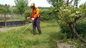 Stihl FS 350
