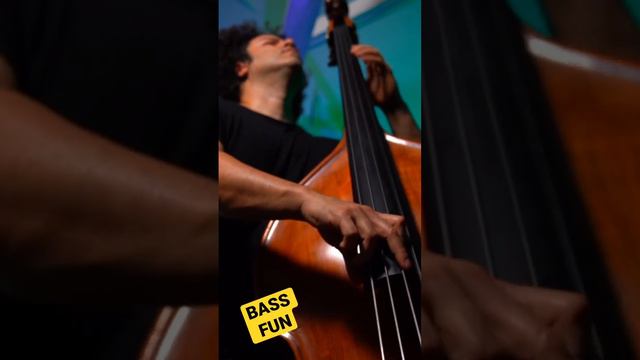 UPRIGHT BASS FUN