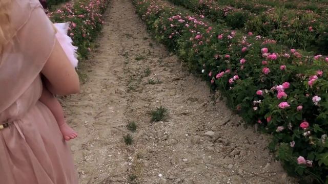 Тургеневка 8 соток смотреть онлайн