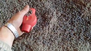 Подсолнечник. Уборка урожая.