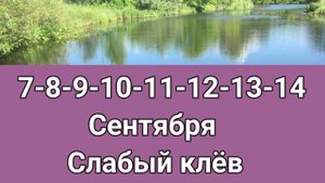 Календарь рыбака на Сентябрь Прогноз клева рыбы на эту неделю Календарь клева Сентябрь 2022