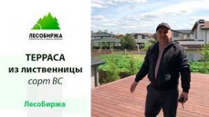 Терраса из лиственницы в низком сорте (С)