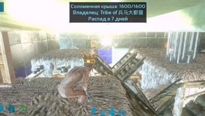 Баги Ark mobile