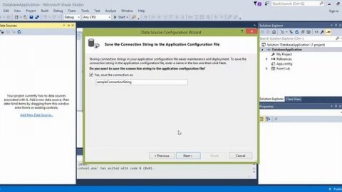 05 Connect to Database Dataset Data Source Show Data In Form In Visual Studio