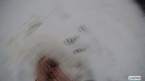 Озеро Силанде, ловля спортивного окуня на блесну