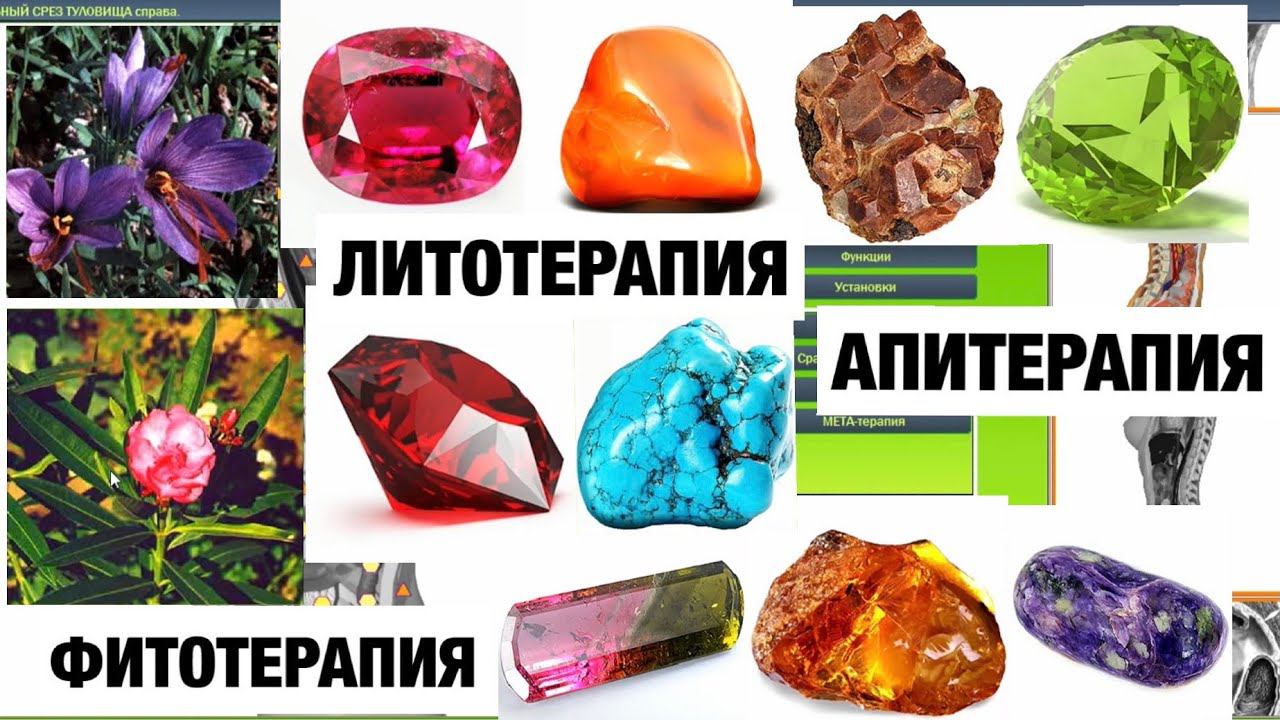 NLS Подбор продуктов пчелиного происхождения, подбор трав(Фитотерапия) и камней (Литотерапия)