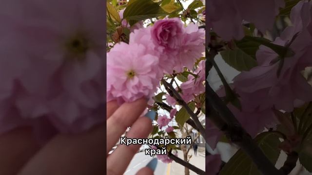 3 варианта, куда поехать в АПРЕЛЕ #путешествияпороссии #кудапоехатьотдыхать #путешествия