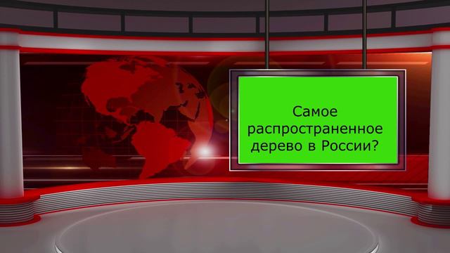 Проверь себя, ответь на  шесть вопросов и узнай что тобой движет при принятии решения