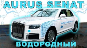 АУРУС СЕНАТ, ВОДОРОД, ПРОТОТИП/ Aurus Senat Hydrogen/ Иван Зенкевич