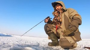 ЗИМНЯЯ РЫБАЛКА 2023 год . ЛОВЛЯ СУДАКА со ЛЬДА . ПЕРВЫЙ СУДАК 2023 года.