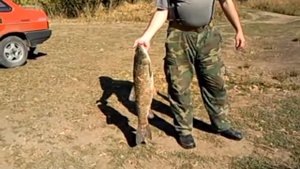 Видео рыбалка в донецкой области