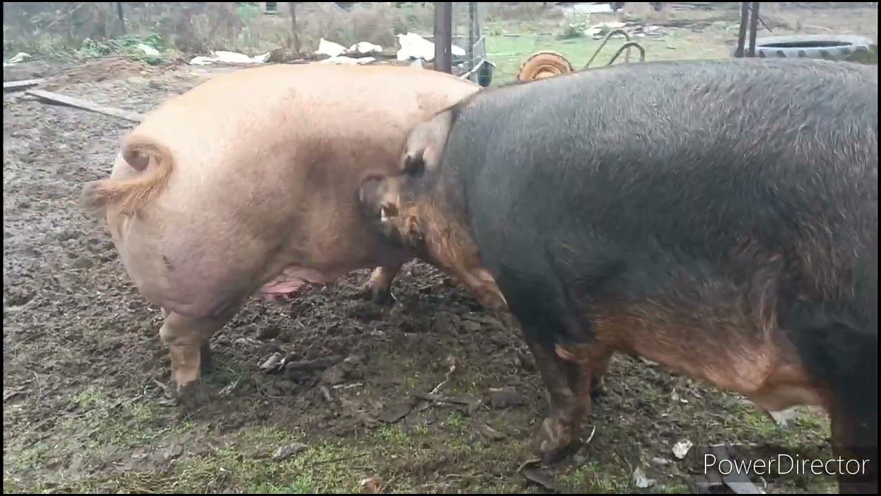 26 октября 2023 г. смотреть онлайн