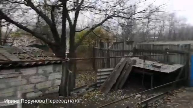 Обзор хозяйства, подготовка к зиме, ответы на вопросы о переезде смотреть онлайн