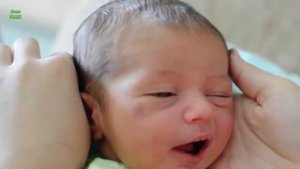 Детки смешно чихают 2014