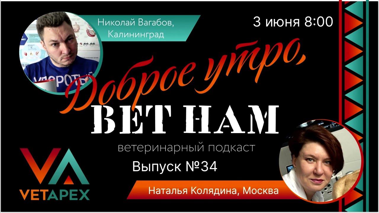 "ВетНам", №34, Наталья Колядина (03.06.2024).