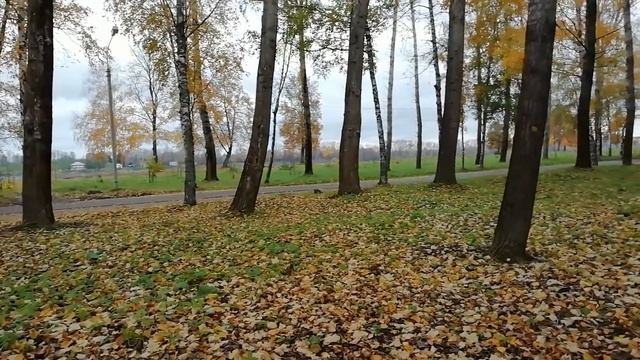 РЕМОНТ ХРУЩЕВКИ ЖЕНСКИМИ РУКАМИ. Шпатлевка полов.