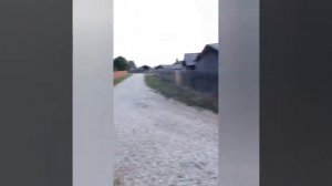 День 5 / Путешествие в Ленский район / День Лены