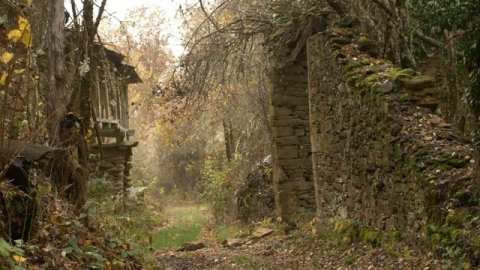 Смотреть видео онлайн