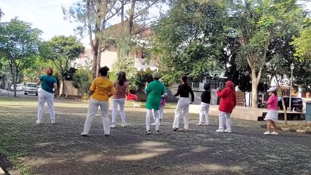 BLOWIN' SMOKE EZ Linedance choreo by Kaye Crooks demo by Gardenia LD смотреть онлайн