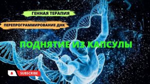 Генная терапия перепрограммирование ДНК, поднятие из капсулы. Отзыв после сеанса.