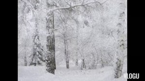 Белым снегом......      Караоке.