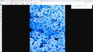 Как поставить баннер в discord чтобы все видели