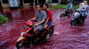 Village submerged by red water after flood hits batik factory