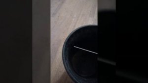 Простая ловушка для крыс и мышей своими руками