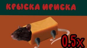 (КРЫСКА ИРИСКА)-0.25Х ДО 1000Х СКОРОСТЕЙ